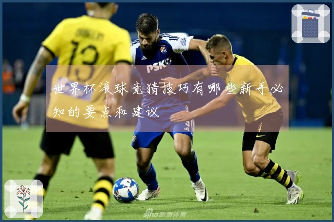 世界杯滚球竞猜技巧有哪些新手必知的要点和建议