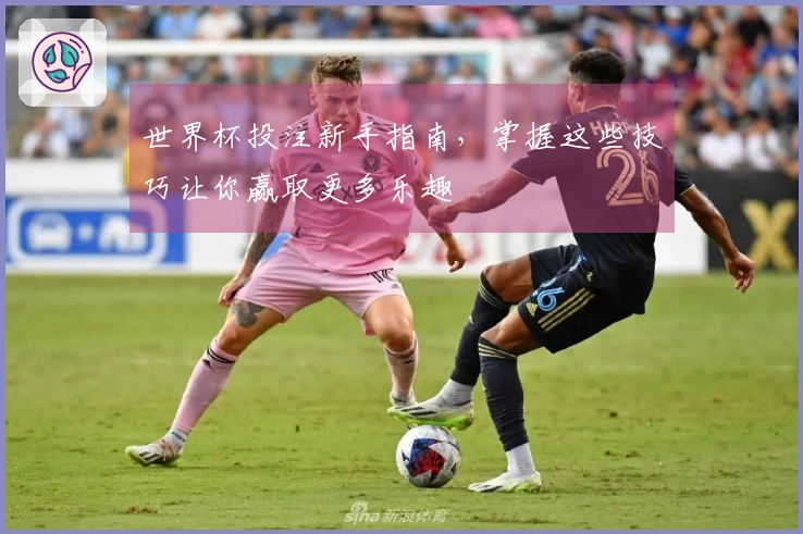 世界杯投注新手指南，掌握这些技巧让你赢取更多乐趣
