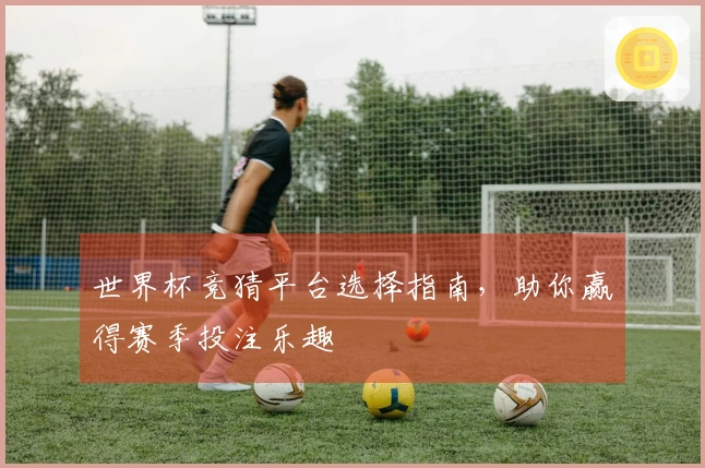 世界杯竞猜平台选择指南，助你赢得赛季投注乐趣