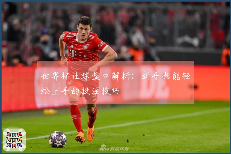 世界杯让球盘口解析：新手也能轻松上手的投注技巧