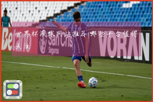 世界杯滚球网站推荐 哪些平台值得关注