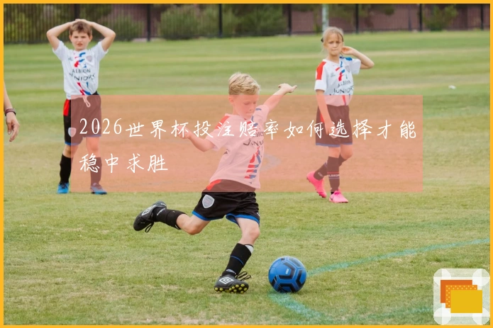 2026世界杯投注赔率如何选择才能稳中求胜