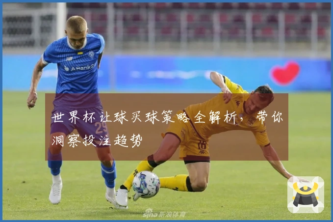 世界杯让球买球策略全解析，带你洞察投注趋势