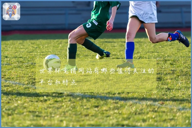 世界杯竞猜网站有哪些值得关注的平台和特点