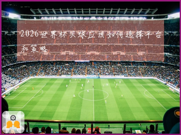 2026世界杯买球应该如何选择平台和策略