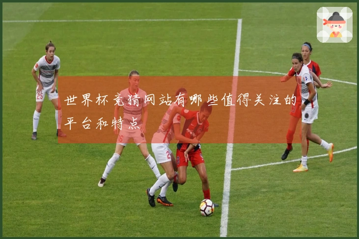 世界杯竞猜网站有哪些值得关注的平台和特点