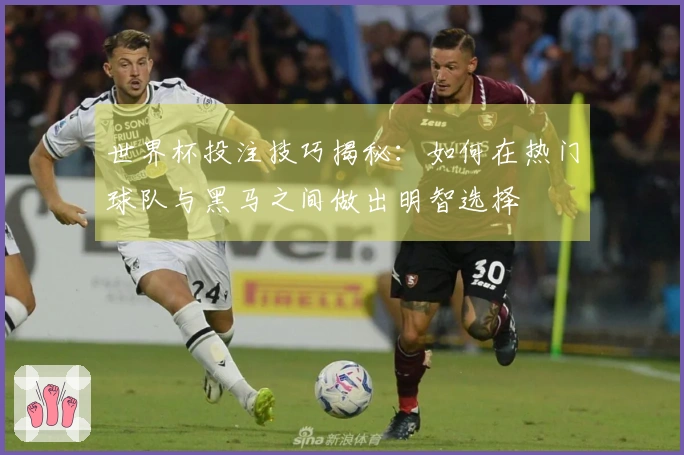 世界杯投注技巧揭秘：如何在热门球队与黑马之间做出明智选择