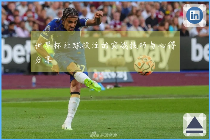 世界杯让球投注的实战技巧与心得分享