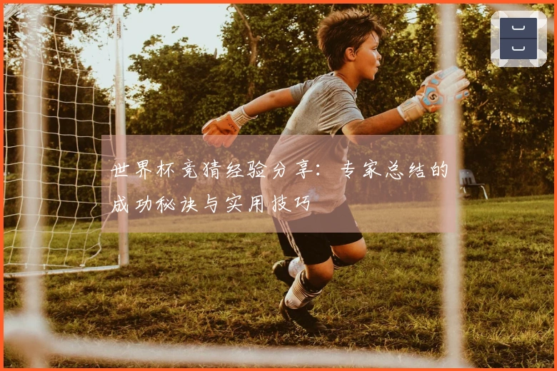 世界杯竞猜经验分享：专家总结的成功秘诀与实用技巧
