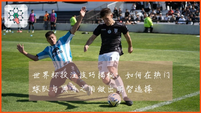 世界杯投注技巧揭秘：如何在热门球队与黑马之间做出明智选择