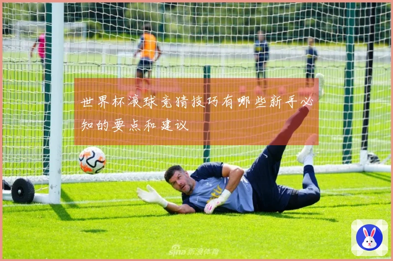 世界杯滚球竞猜技巧有哪些新手必知的要点和建议
