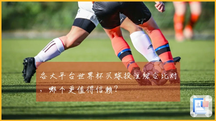 各大平台世界杯买球投注综合比对，哪个更值得信赖？